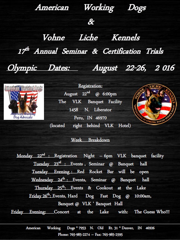 2016 Olympics Application Flyer new