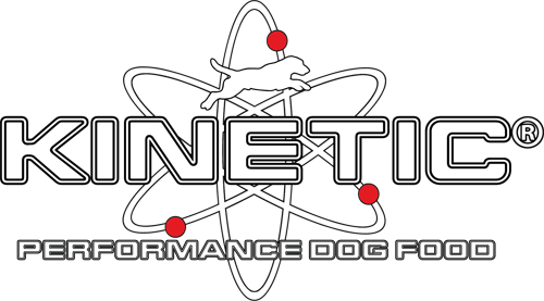 Kinetic Logo REG 500px