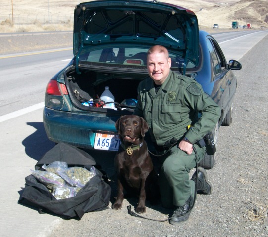 Deputy zirkle