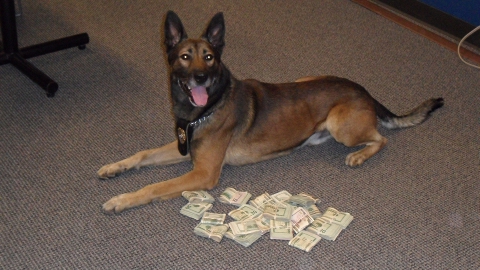 K9 Gunner sm