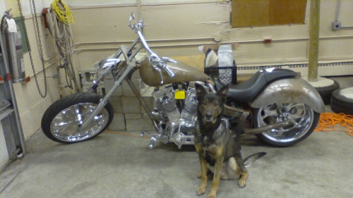 k9bikde sm