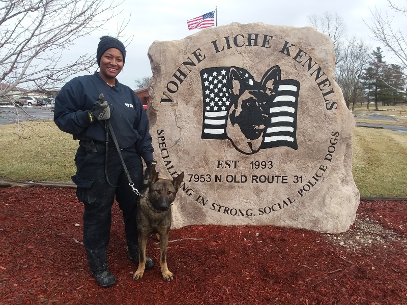 Detroit PD (MI)